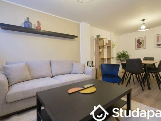 Colocation à louer 490 € 1 pièce 1 chambre 12 m² Étage 1/3 Caulier Lille 59000