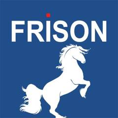 FRISON IMMOBILIER logo