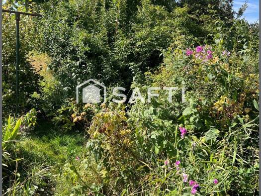 Maison à vendre 60 000 € 4 pièces 2 chambres 136 m² 384 m² de terrain Flavy-le-Martel 02520