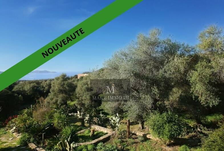 Appartement à vendre 638 000 € 3 pièces 2 chambres 93 m² Sous le toit, Étage 1/1 Lumio 20260