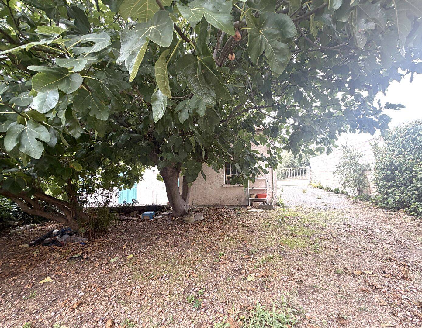 Maison 3 pièces 55 m² · à Istres · 55 m² · 250 000 €
