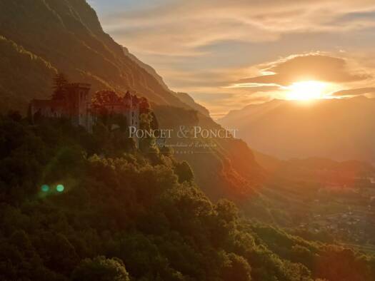 Château à vendre de 3M à 10M € 600 m² Saint-Pierre-d'Albigny 73250