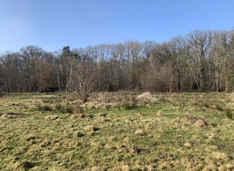 Terrain constructible à vendre 290 000 € 5 040 m²<br/>terrain Vieille-Église-en-Yvelines 78125