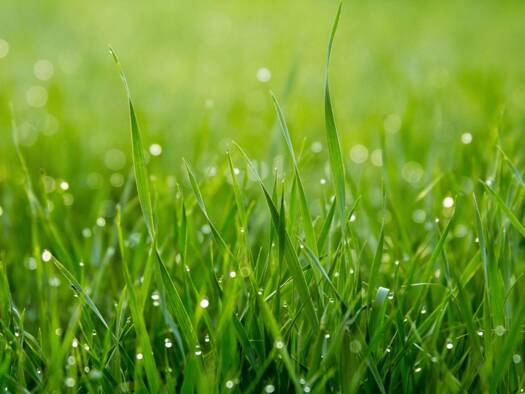 Terrain à vendre 135 000 € 812 m² de terrain Soisy-sur-École 91840