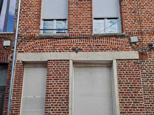 Maison à vendre 110 000 € 3 pièces 2 chambres 70 m² 45 m² de terrain Centre Saint-Amand-les-Eaux 59230