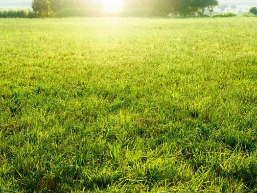 Terrain constructible à vendre 200 000 € 300 m² de terrain Palaiseau 91120