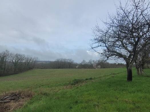 Terrain constructible viabilisé à vendre 66 000 € 25 000 m² de terrain Condezaygues 47500