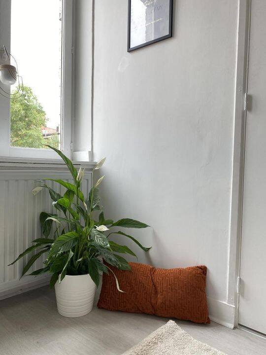 Maison de 35m2 à louer sur Lille — 2