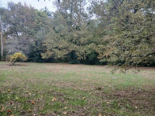 Terrain constructible à vendre 400 000 € 3 006 m² de terrain Créon 33670