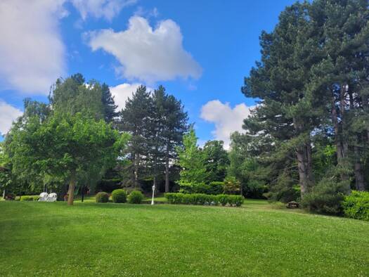 Villa à vendre 600 000 € 7 pièces 6 chambres 180 m² 4 800 m² de terrain Chabanière 69440