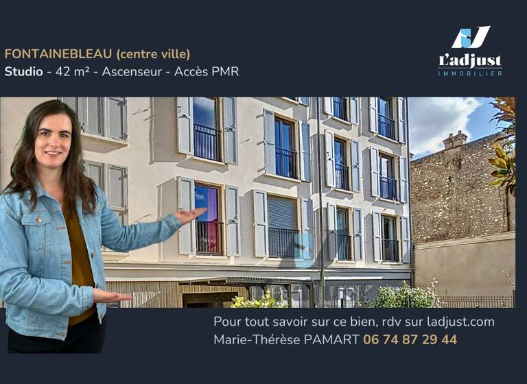 Appartement à vendre 252 000 € 1 pièce 42 m²<br/>superficie 3/4<br/>étage Centre Ville Nord Ouest Fontainebleau 77300
