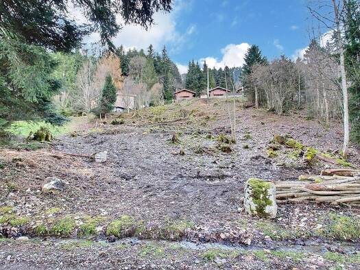 Terrain à vendre 190 000 € 1 114 m² de terrain Thollon-les-Mémises 74500