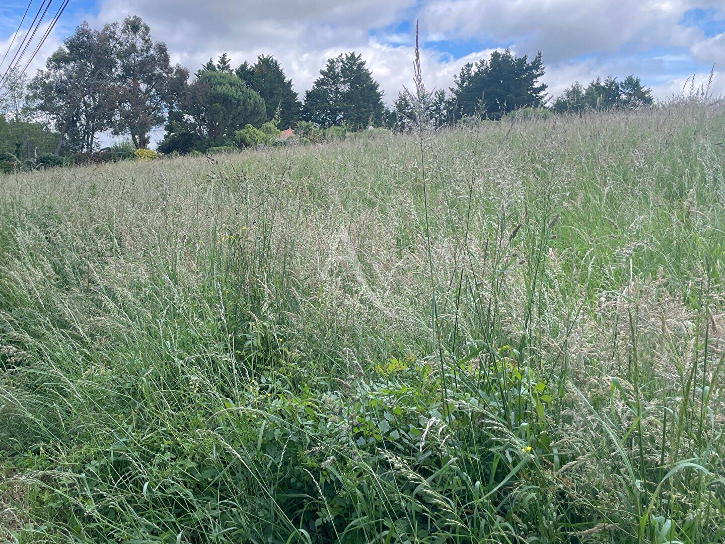Terrain de 367 m² à Moutiers-les-Mauxfaits - photo 2