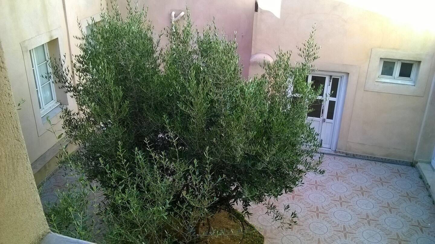 Appartement 2 pièces 44 m² · à Narbonne · 44 m² · 117 000 €