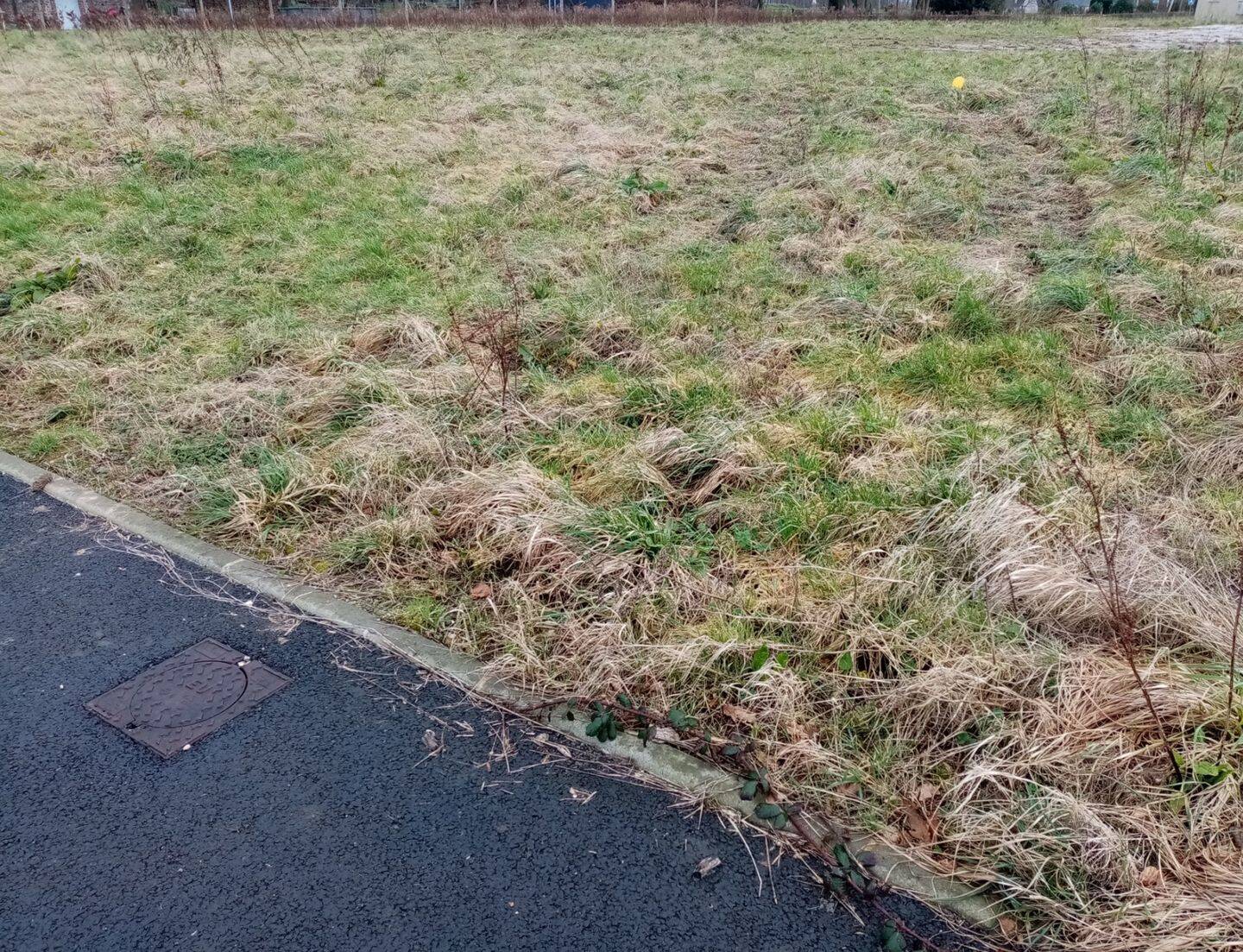 Terrain de 478 m² à Terres-de-Caux - photo 2