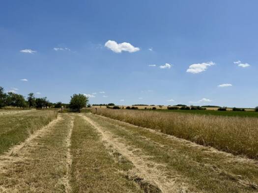 Terrain constructible à vendre 36 000 € 1 024 m² de terrain Haraucourt 54110