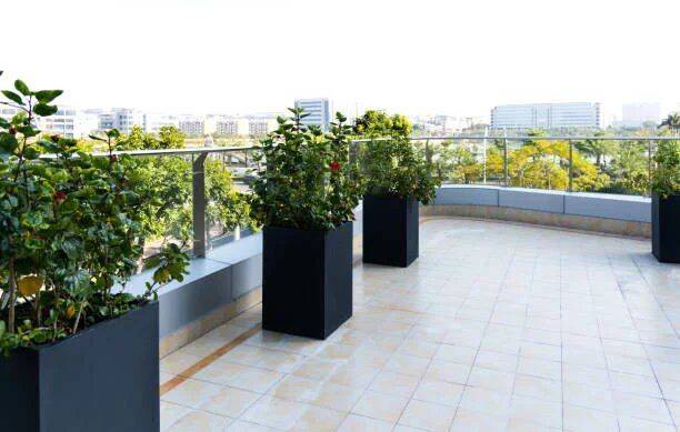 Appartement 5 pièces 122 m² · à Saint-Maur-des-Fossés · 122 m² · 1 110 000 €