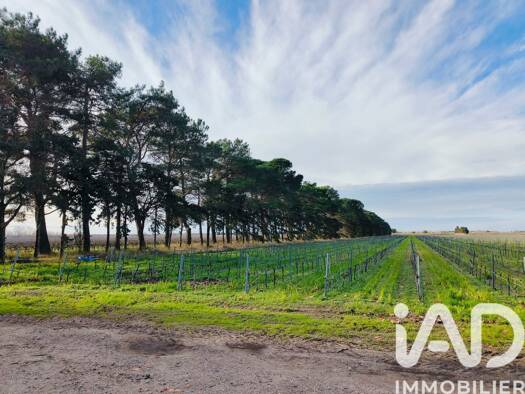 Terrain à vendre 5 000 000 € 1 140 000 m² de terrain Sud Le Grau-du-Roi 30240