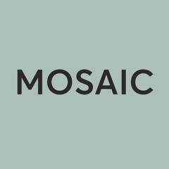 Agence MOSAIC logo