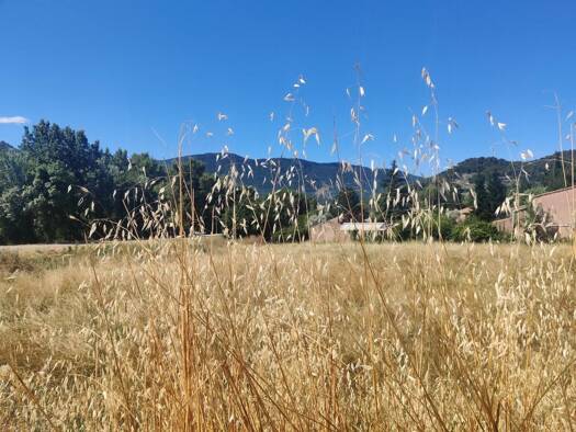 Terrain constructible à vendre 145 000 € 888 m² de terrain Buis-les-Baronnies 26170