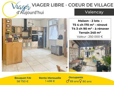 Maison en viager libre Bouquet 58 750 € 9 pièces 7 chambres 259 m² 243 m² de terrain Valençay 36600