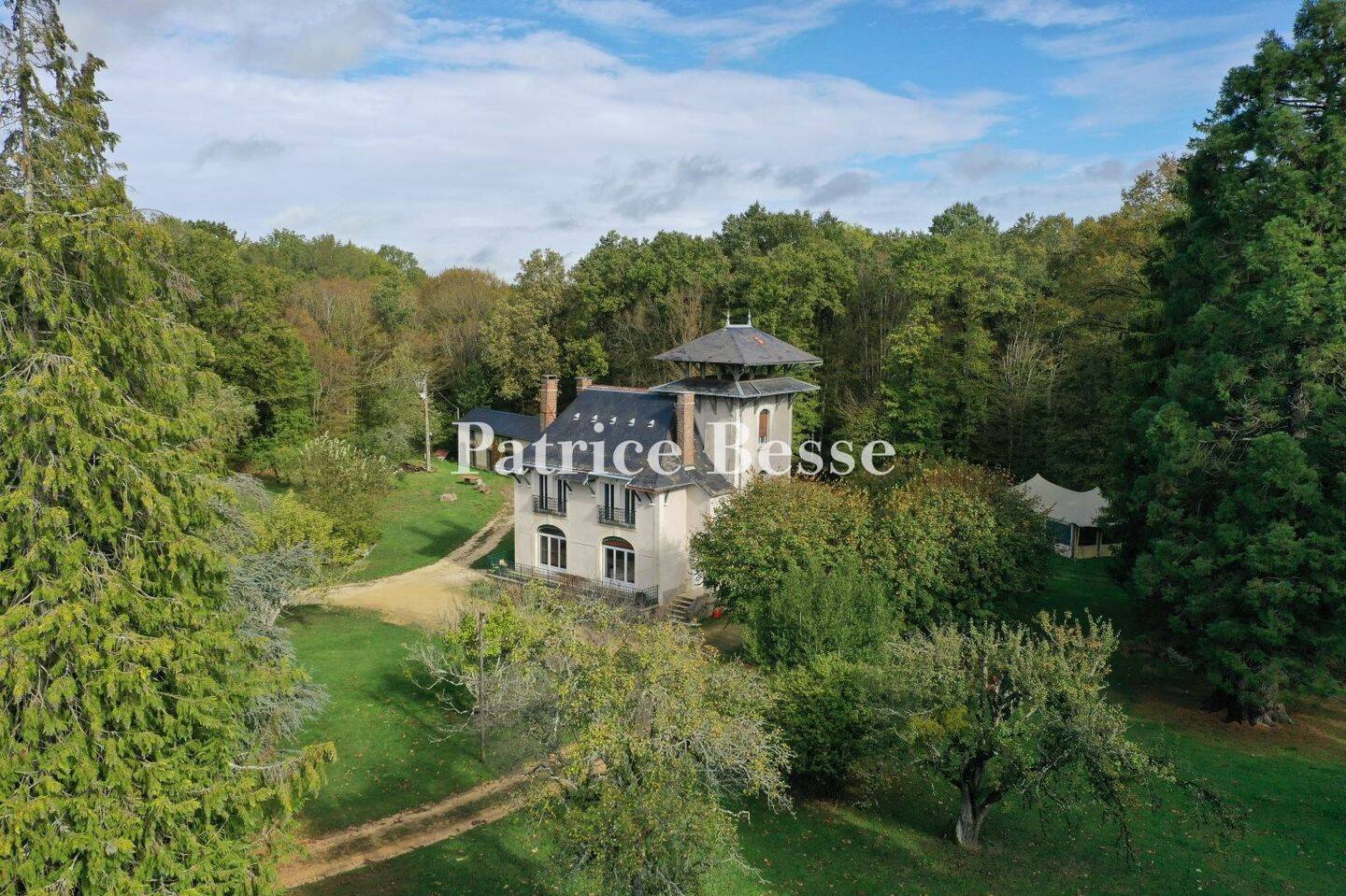 Maison 7 pièces 313 m² · à Saint-Sauveur-en-Puisaye · 313 m² · 595 000 €