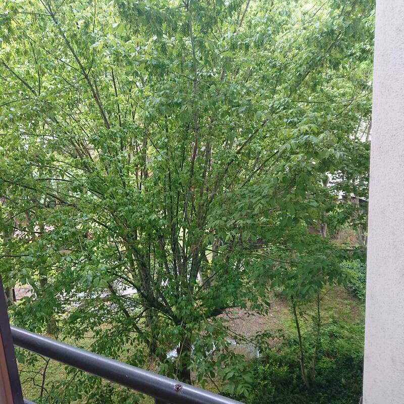 Appartement 1 pièce 25 m² · à Toulouse · 25 m² · 660 €