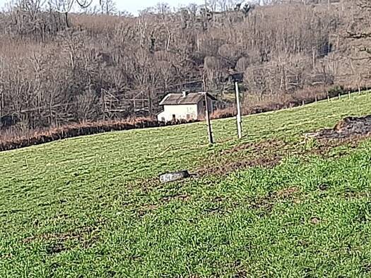 Ferme à vendre 422 000 € 8 pièces 7 chambres 110 m² 340 000 m² de terrain Glanges 87380