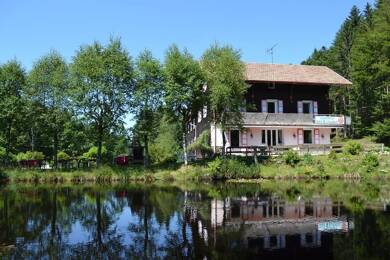 Hôtel particulier à vendre 620 000 € 20 pièces 12 chambres 609 m² Gérardmer 88400
