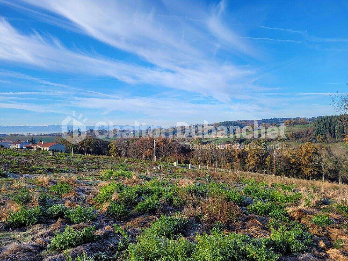 Terrain de 554 m² à Montchal - photo 2
