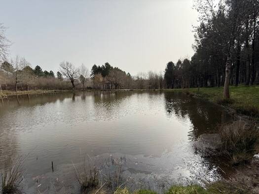 Terrain constructible à vendre 76 000 € 79 290 m² de terrain Saint-Aigulin 17360