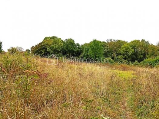 Terrain constructible à vendre 65 000 € 2 729 m² de terrain Sainte-Geneviève 60730