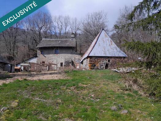 Maison à vendre 59 000 € 3 pièces 2 chambres 80 m² 6 719 m² de terrain Saint-Clément 15800