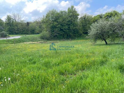 Terrain constructible à vendre 81 000 € 1 360 m² de terrain Quingey 25440