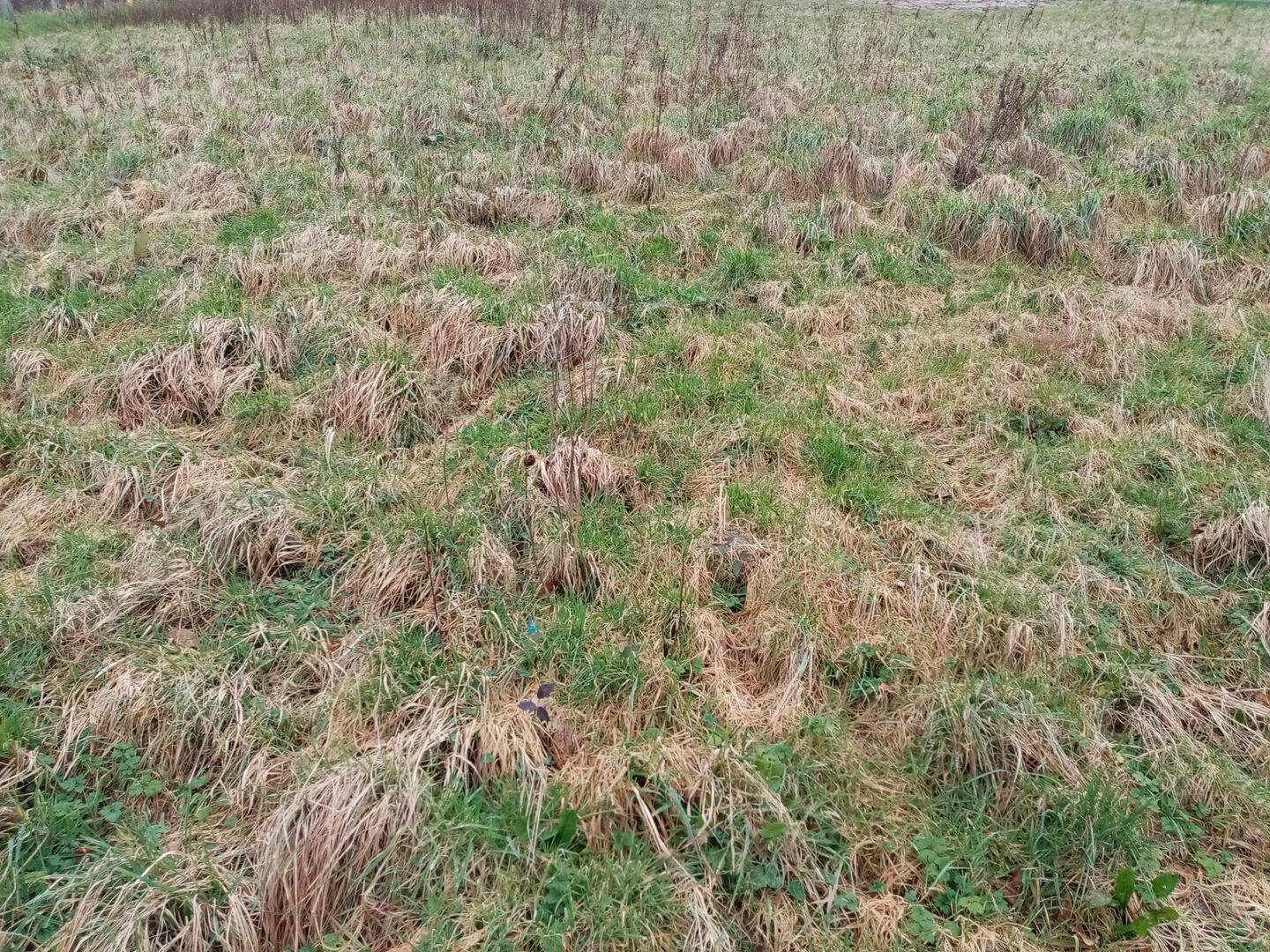 Terrain de 704 m² à Normanville - photo 2