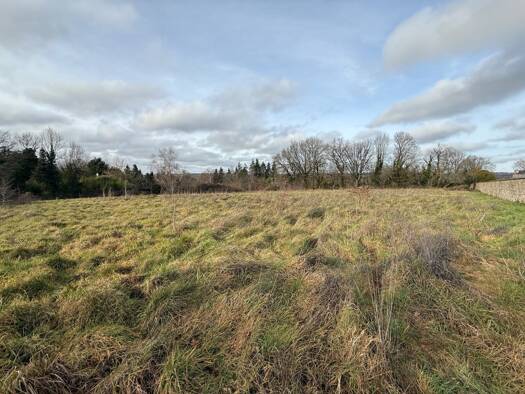Terrain constructible à vendre 27 800 € 5 833 m² de terrain Saillat-sur-Vienne 87720