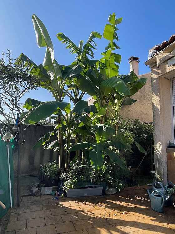 Maison 7 pièces 120 m² · à Lormont · 120 m² · 258 000 €