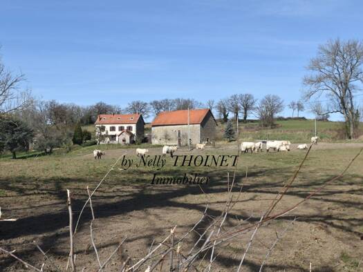 Maison à vendre 149 900 € 8 pièces 5 chambres 155 m² 8 774 m² de terrain Dontreix 23700