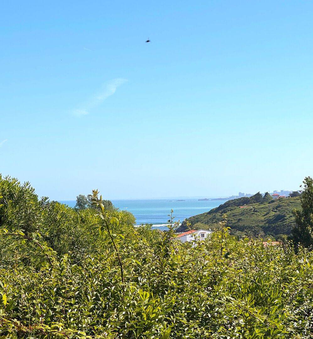 Maison 4 pièces 118 m² · à Saint-Jean-de-Luz · 118 m² · 1 195 000 €