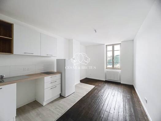 Appartement à louer 510 € 3 pièces 2 chambres 42,6 m² Étage 3/4 Thizy-les-Bourgs 69240