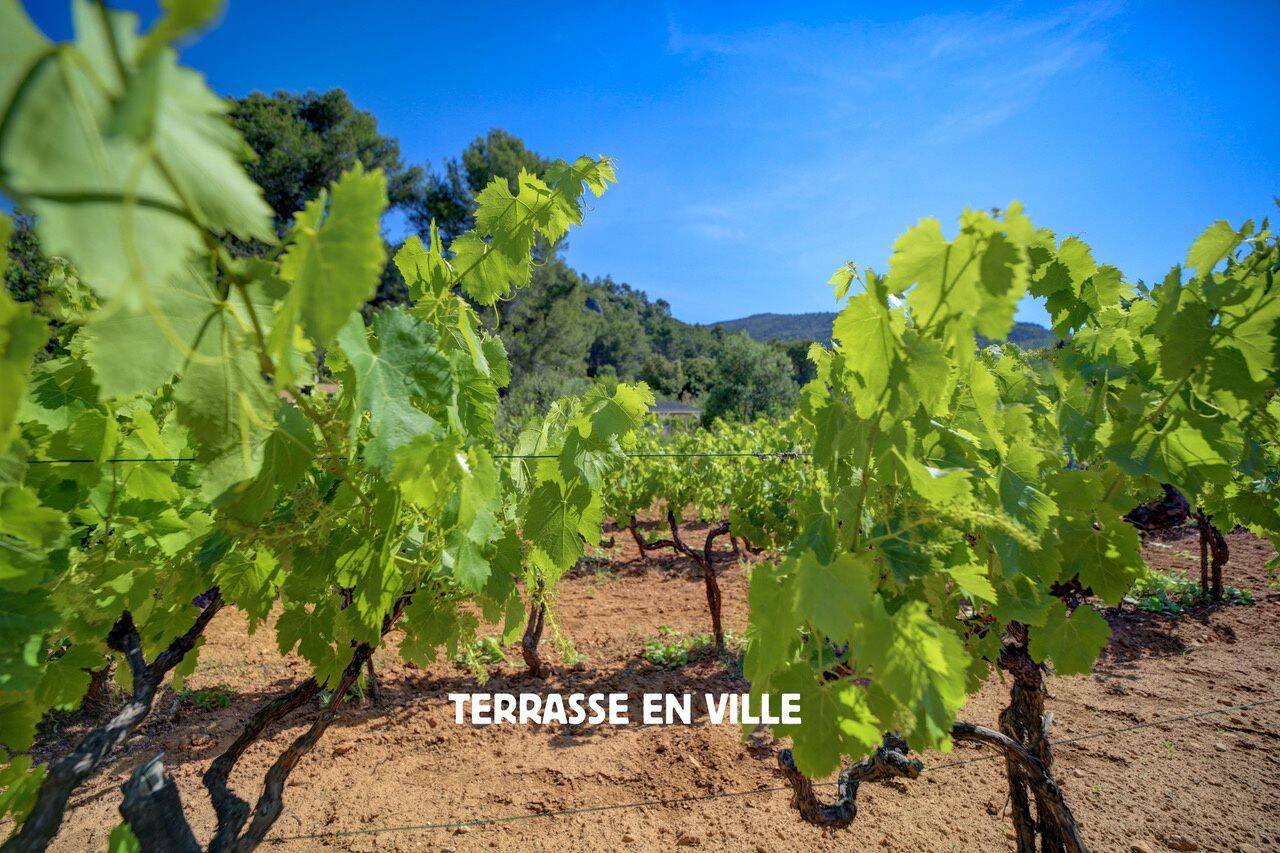 Maison 4 pièces 180 m² · à Signes · 180 m² · 598 000 €