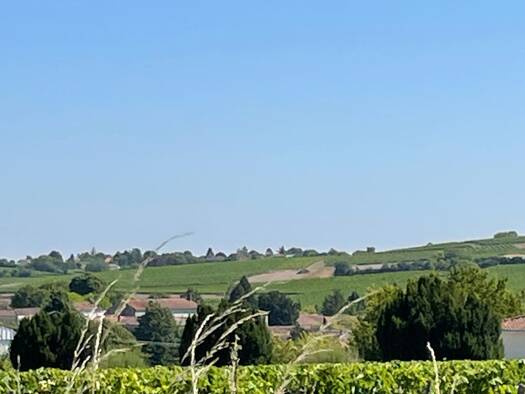 Maison à vendre 340 000 € 9 pièces 4 chambres 215 m² 3 500 m² de terrain Salles-d'Angles 16130