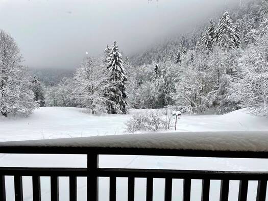 Appartement à vendre 78 670 € 1 pièce 21 m² RDC/3 Bellevaux 74470