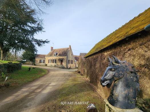 Maison à vendre 460 650 € 5 pièces 2 chambres 120 m² 103 992 m² de terrain Saint-Jean-des-Échelles 72320