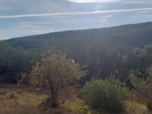 Terrain constructible à vendre 120 000 € 1 136 m² de terrain Bize-Minervois 11120