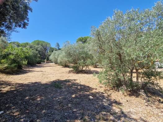 Terrain constructible viabilisé à vendre 209 000 € 950 m² de terrain Cavaillon 84300