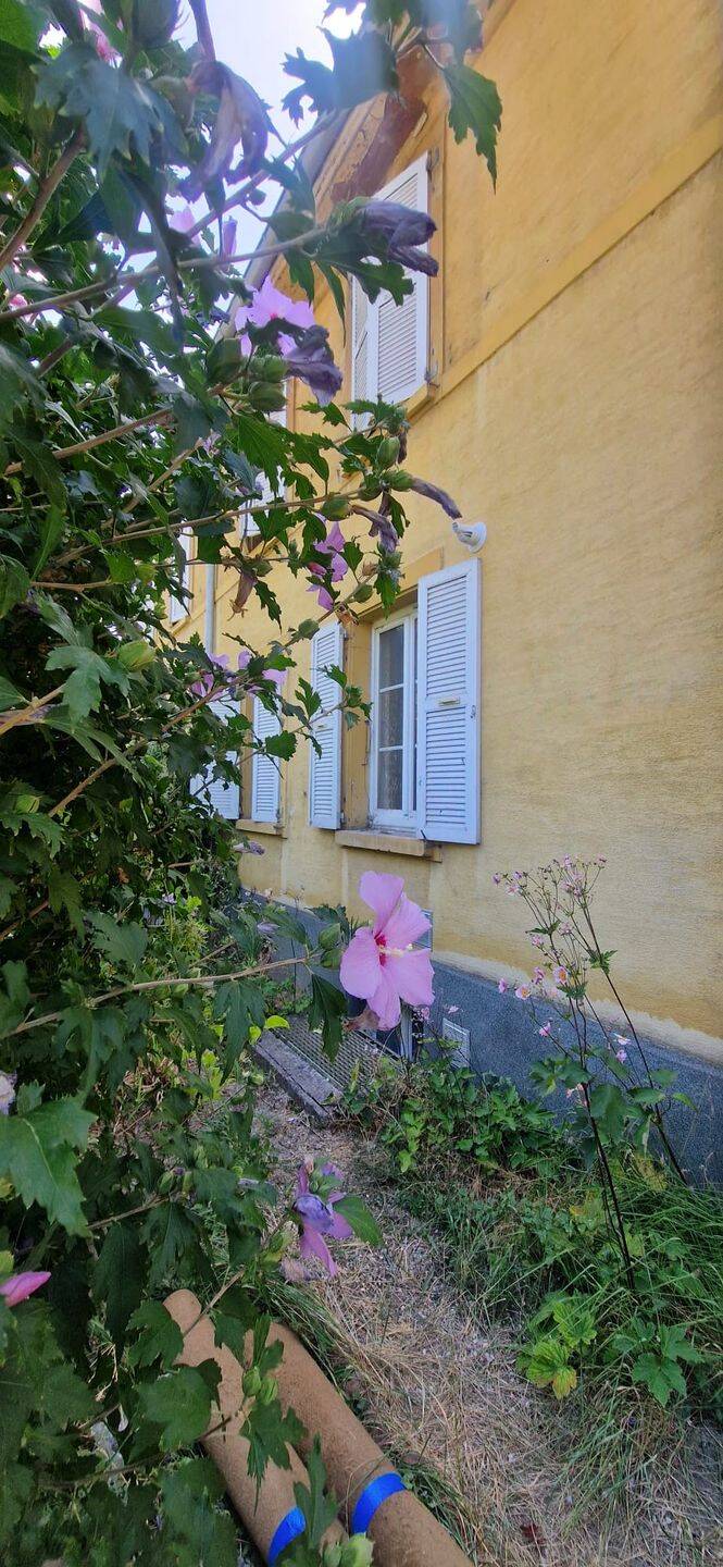 Appartement 3 pièces 53 m² · à Mulhouse · 53 m² · 89 000 €