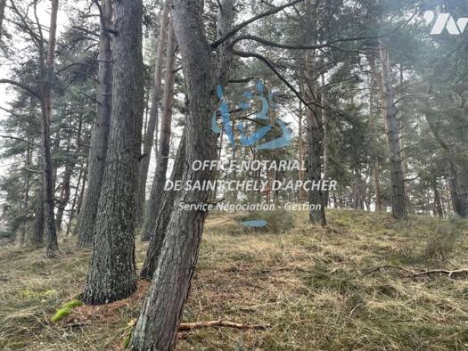 Terrain à vendre 9 500 € 10 343 m² de terrain Rimeize 48200