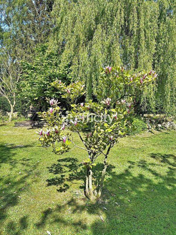 Maison 6 pièces 144 m² · à Téteghem-Coudekerque-Village · 144 m² · 364 000 €
