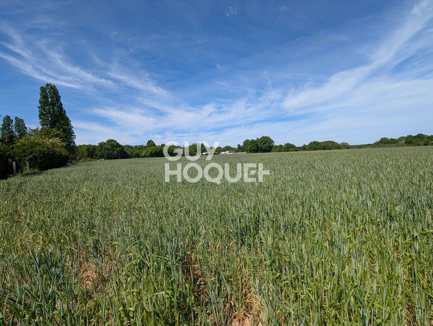 Terrain de 680 m² à Chauvigny - photo 2